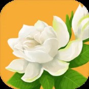 汇码图库